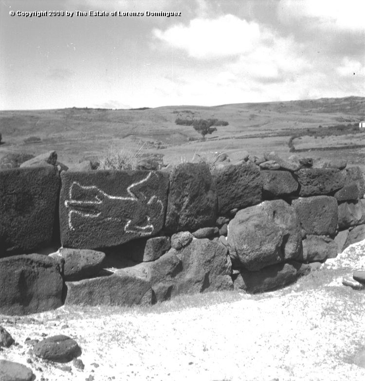 ANA_El_Potente_01.jpg - Easter Island. 1960. Petroglyph and skull-head in the wall of an ahu in Anakena.